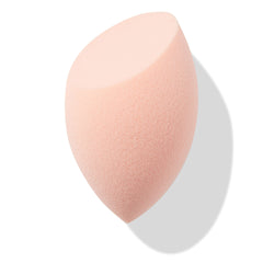 Blending Sponge